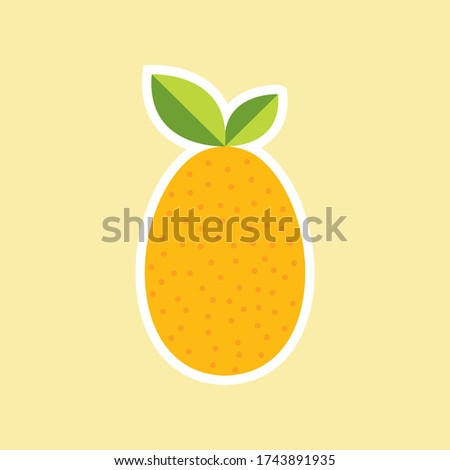 Kumquat, fruit on color background. Flat design style. vector illustration.