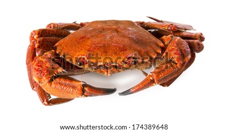 Isolated crab