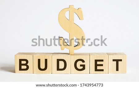 Text Budget on wood cube block, stock investment concept.