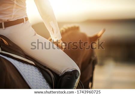 Caucasian Female Horse Rider in Equestrian Facility. Recreational and Sport Horse Riding Theme. Royalty-Free Stock Photo #1743960725