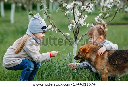 Two little girls are playing with a dog. Feed the dog grass