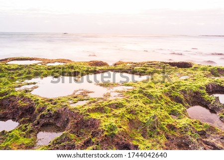 Best picture with green moss area and magic light at sunrise