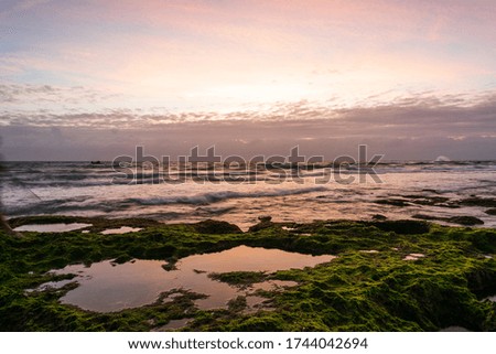 Best picture with green moss area and magic light at sunrise