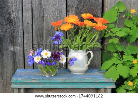 Bouquets of wildflowers. Calendula chamomile, cornflower and daisy are widely used in folk medicine.