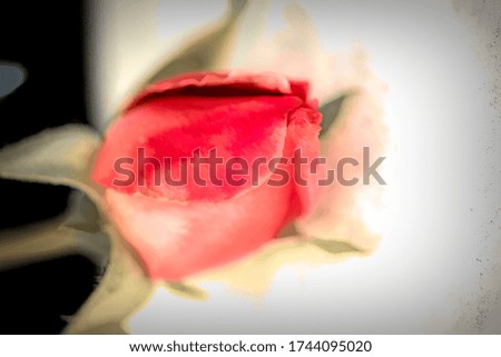 An artistic picture of a single red rose bud on a white background. Picture is edited to resemble a painting. 