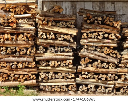 Stacks of firewood neatly arranged