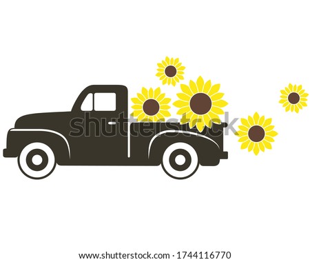 Pick-up Truck with Sunflowers Vector Illustration on White