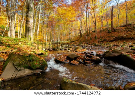 Mountain river in autumn forest. autumn landscape. rocks in the river that flows through forest at the foot of the mountain Royalty-Free Stock Photo #1744124972