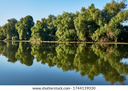Reflection of vegetation in the channels of the Danube Delta