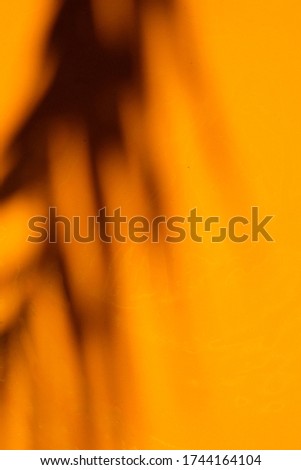 Colorful and modern bright minimalist image of dark palm leaf shadows on orange summery background