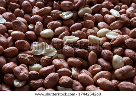 closeup of fresh peanut grains