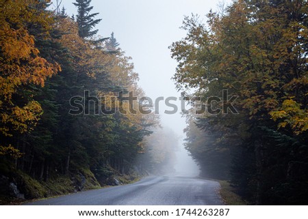 Foggy Mount Washington auto road, New Hampshire, USA