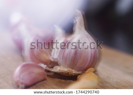 healthy garlic beautiful image picture