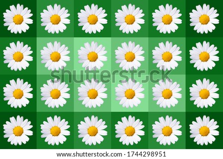popart with twenty-four daisy blossoms on green colored background, symmetric Royalty-Free Stock Photo #1744298951
