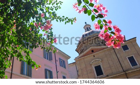 An old beautiful architecture. Spring in Europe Rome, beautiful pink blossom trees against the background of the church. 