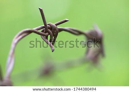Close up of barbwire fence metal cable