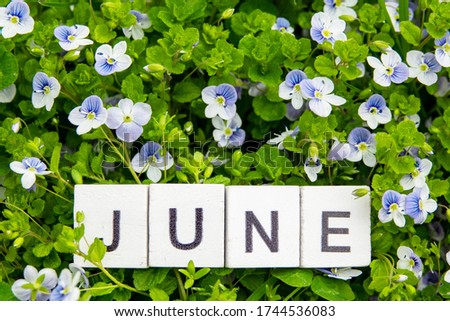 Image June,wooden alphabet June on green grass background with copy space for your text. Concept be used for calendar, month and background. Blur picture and exposure.