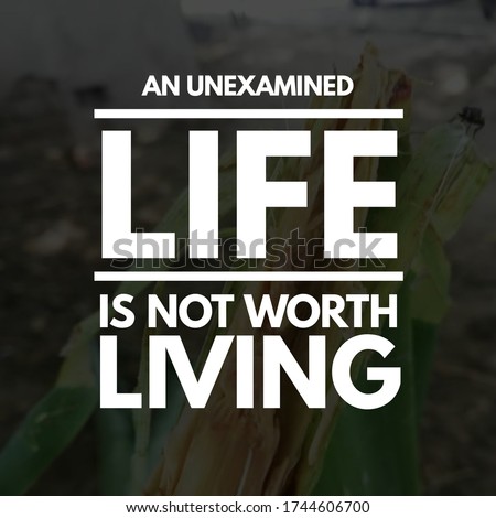 Best inspirational, emotional and motivational quotes on nature background. An unexamined life is not worth living.
