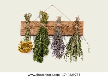 Decoration on the wall of fragrant herbs,
