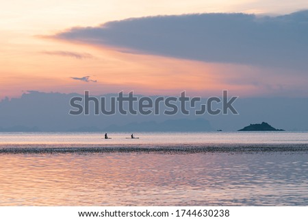 Silhouettes of a couple sailing on the sup boards by the sea at sunset