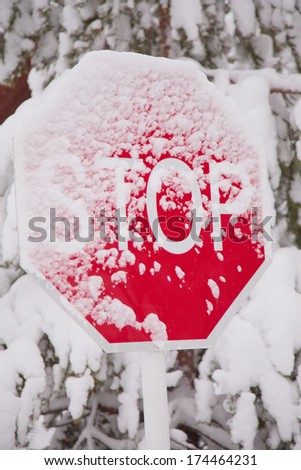 Road sign stop in snow 