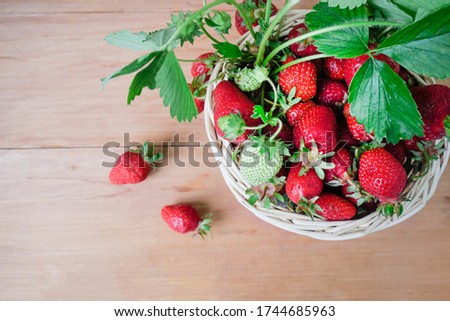 Fresh strawberries. Strawberry background. Macro texture. big, big strawberries. On a blue background. Harvesting clean local strawberries. View from above. copyspace