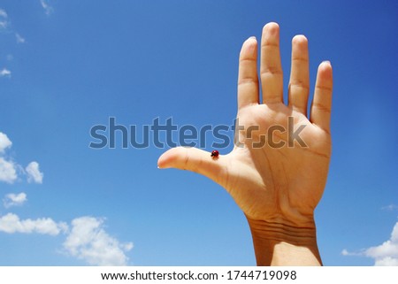 Close up picture of hand showing high five with ladybug over blue sky as background