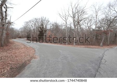 A rural road surrounded by trees in Long Island. 