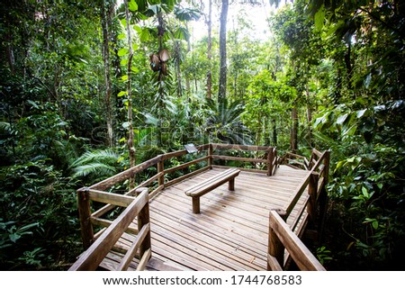 The famous Jindalba Boardwalk thru ancient rainforest in the Daintree region of Queensland, Australia Royalty-Free Stock Photo #1744768583