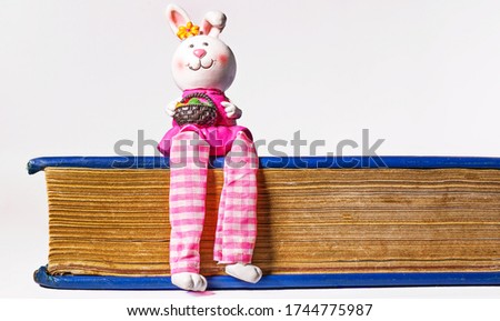 Cartoon girl bunny sits on a large book on a white background.