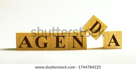 AGENDA word made with building blocks isolated on white