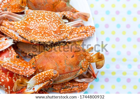 Steamed crab in plate on the table.