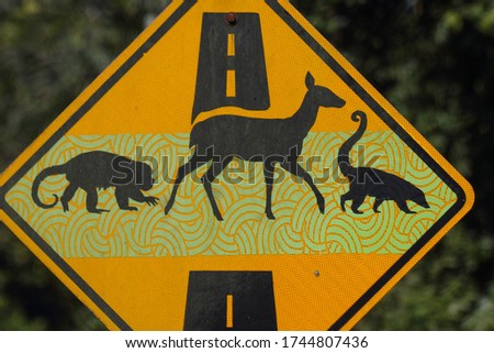 yellow traffic sign with monkey, dear and coati, Costa Rica, Central America