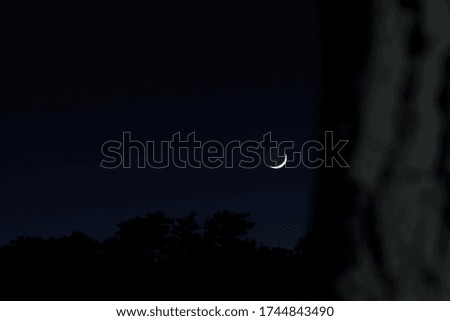 crescent moon in the night sky