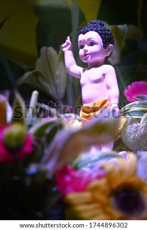 A holy ray lights up the child of buddha