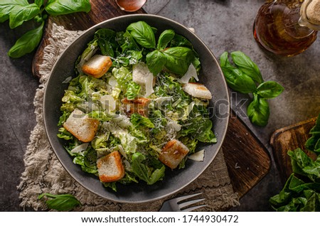 Organic bio salad with ceasar dressing and crispy bread