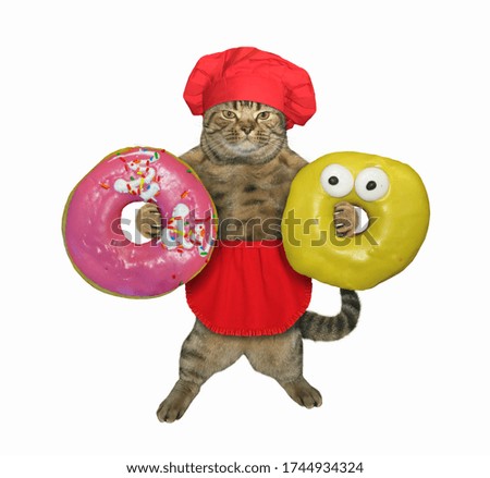 The beige cat in red cook uniform is holding two big donuts. White background. Isolated.