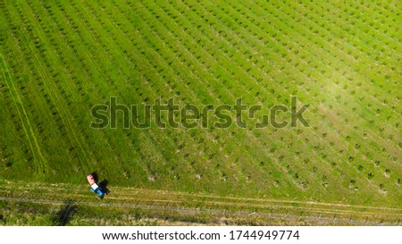 Aerial vast green field view - Agriculture field aerial photo - Green landscapes drone photo