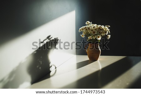 On a white table in the sun is a clay jug. In a jug is a bouquet of field daisies. Image with a selective focus.