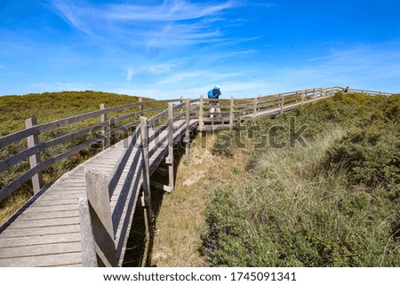 Platier d'Oye nature reserve, between Calais and Dunkirk, Hauts-de-France in north of France