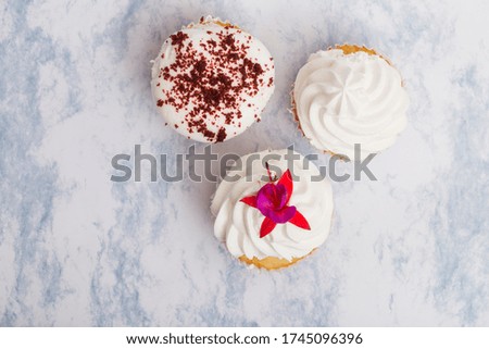 cartoon decorated cupcake on plain colored background