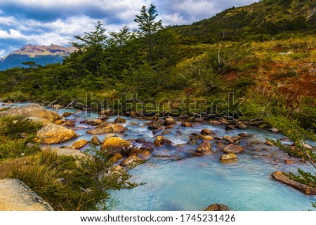 Beautiful picture of brook on a trail to Laguna Esmeralda near Ushuaia in Tierra del Fuego, Argentina