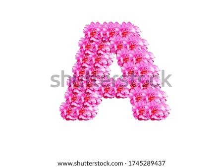 The letter A is made of pink flowers on a white background. Spring concept Floral letters of the alphabet for wedding design or flower festival