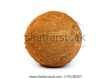 A high resolution photo of a coconut on a white background.