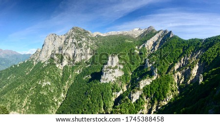 Green forest covering the northern Grigna mountain range