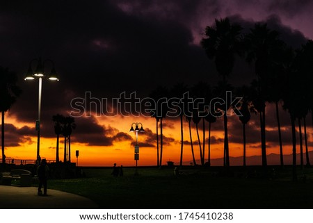 Beautiful orange sunset with a view of palm trees, silhouettes of people, and the ocean. Venice Beach Los Angeles California USA. Street light