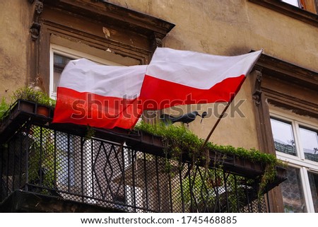 Polish white-red flag in wind on a high hill between silhouette of trees. Natural Light Selective Focus. building view. 1 of May, November 11, flag or independence or labor day. Government holiday Royalty-Free Stock Photo #1745468885