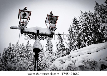 Lantern poles covered with snow