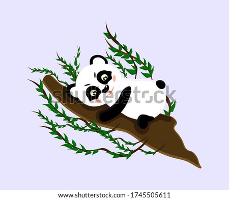 The Panda is lying on a tree. Vector isolated illustration with a tropical animal. Wild animal logo. Cartoon character to design cards, clothing, glassware. Doodle style. Panda resting on a tree.