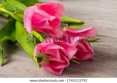 tender pink tulips on wooden table, birthday wedding or valentine background